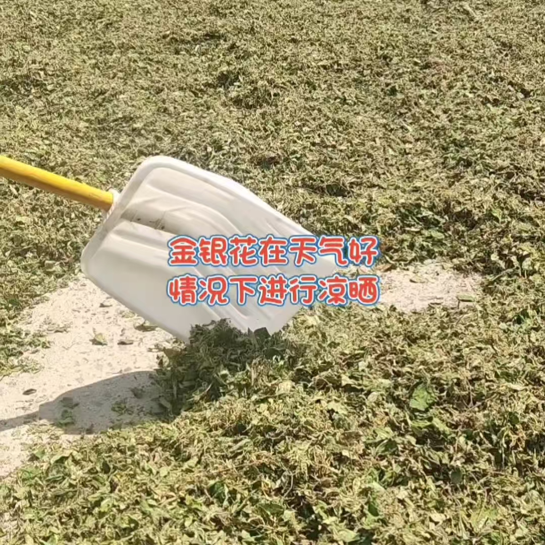1739172132632567.png