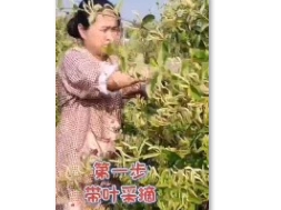 加工分級(jí)視頻